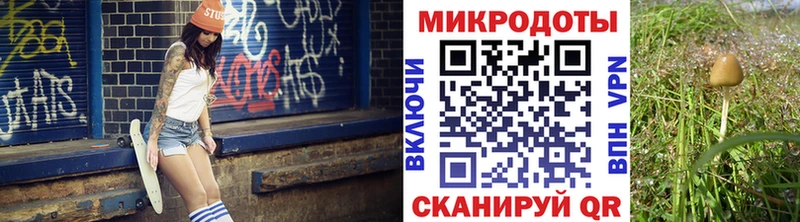 Галлюциногенные грибы GOLDEN TEACHER  где продают   Старая Русса 